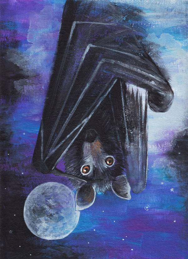 Bat Spirit Animal Meaning