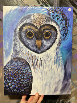 Peacock Owl Canvas Giclee