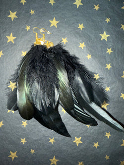 Feather Earrings