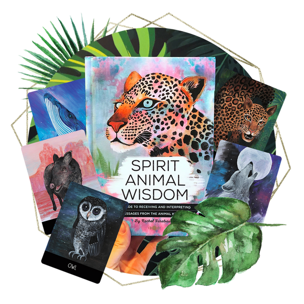 Spirit Animal Reading