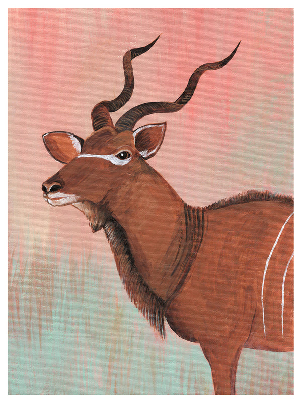 Antelope Print