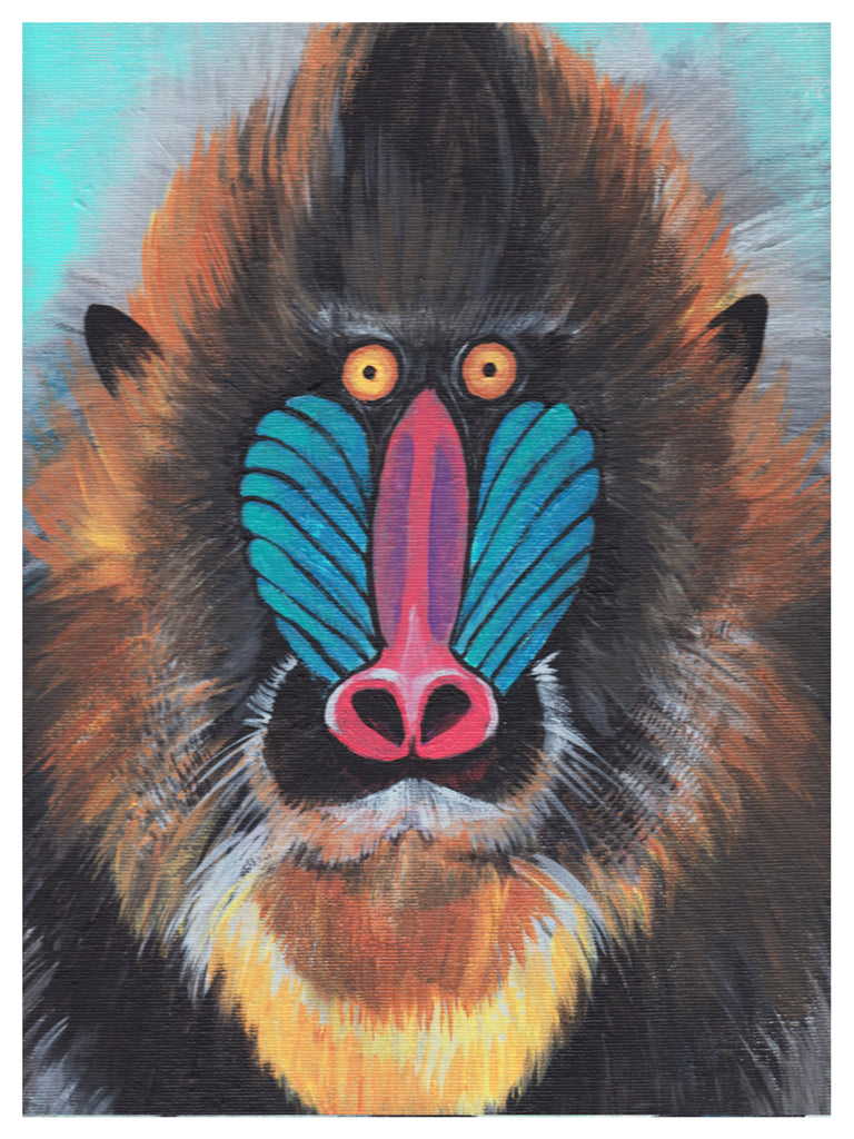 RACHEL-FARABAUGH-PRINT-