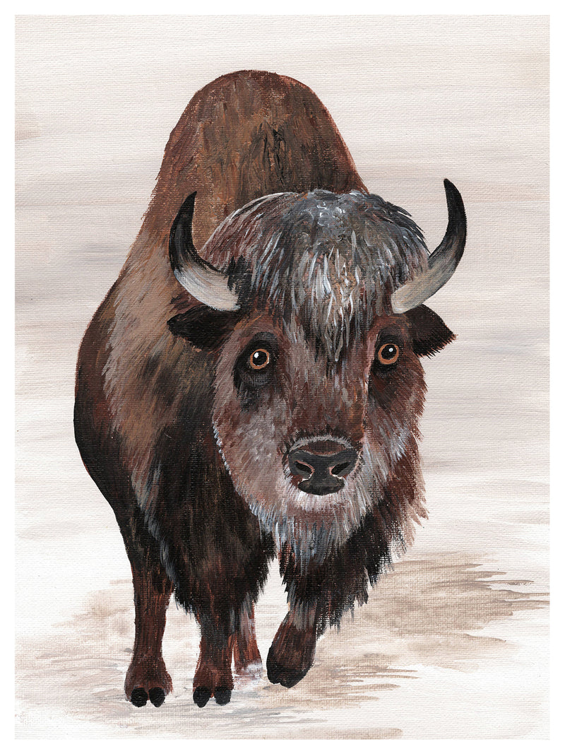 Bison Print