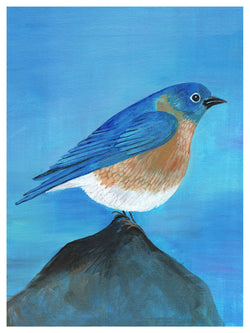 Bluebird Print