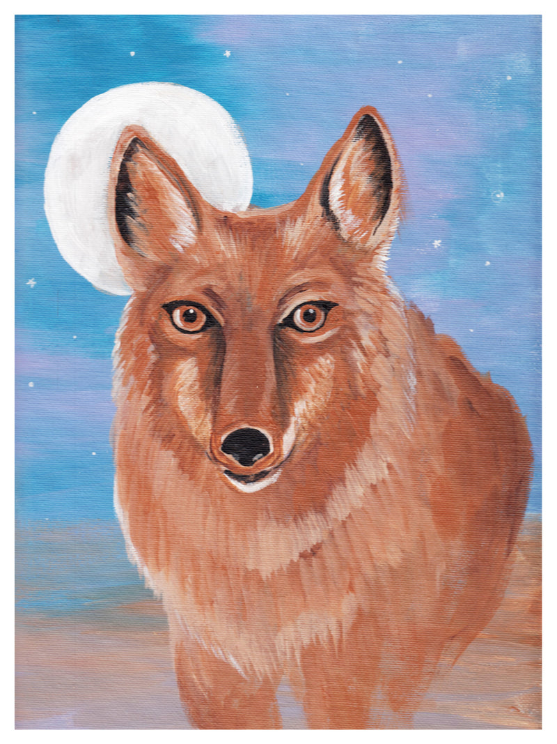 Coyote Print