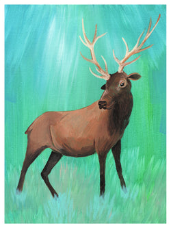 Elk Print