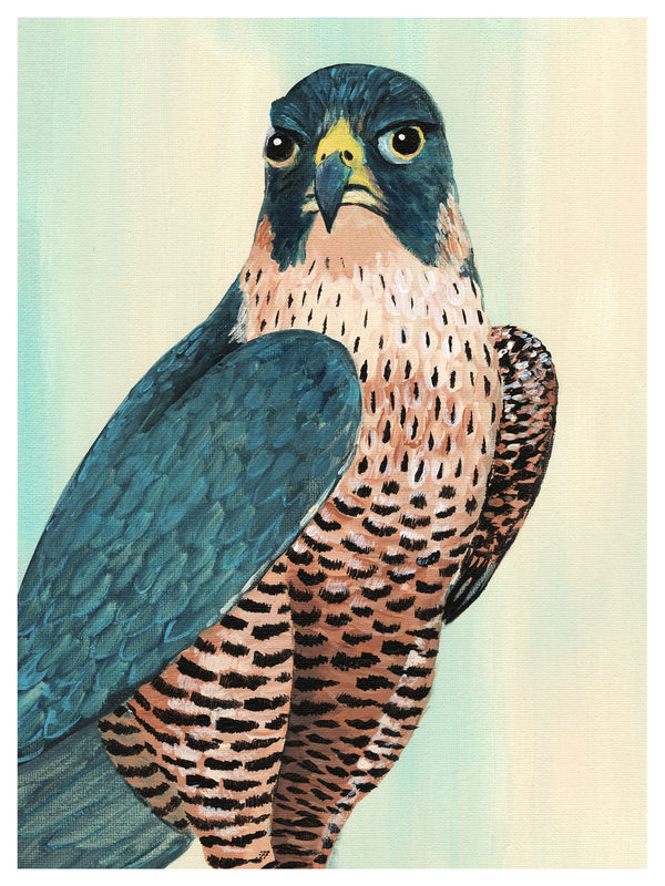 Falcon Print