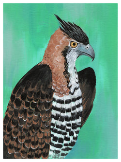 Hawk Print