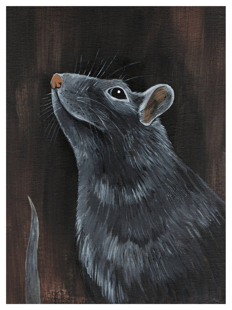 Rat Print