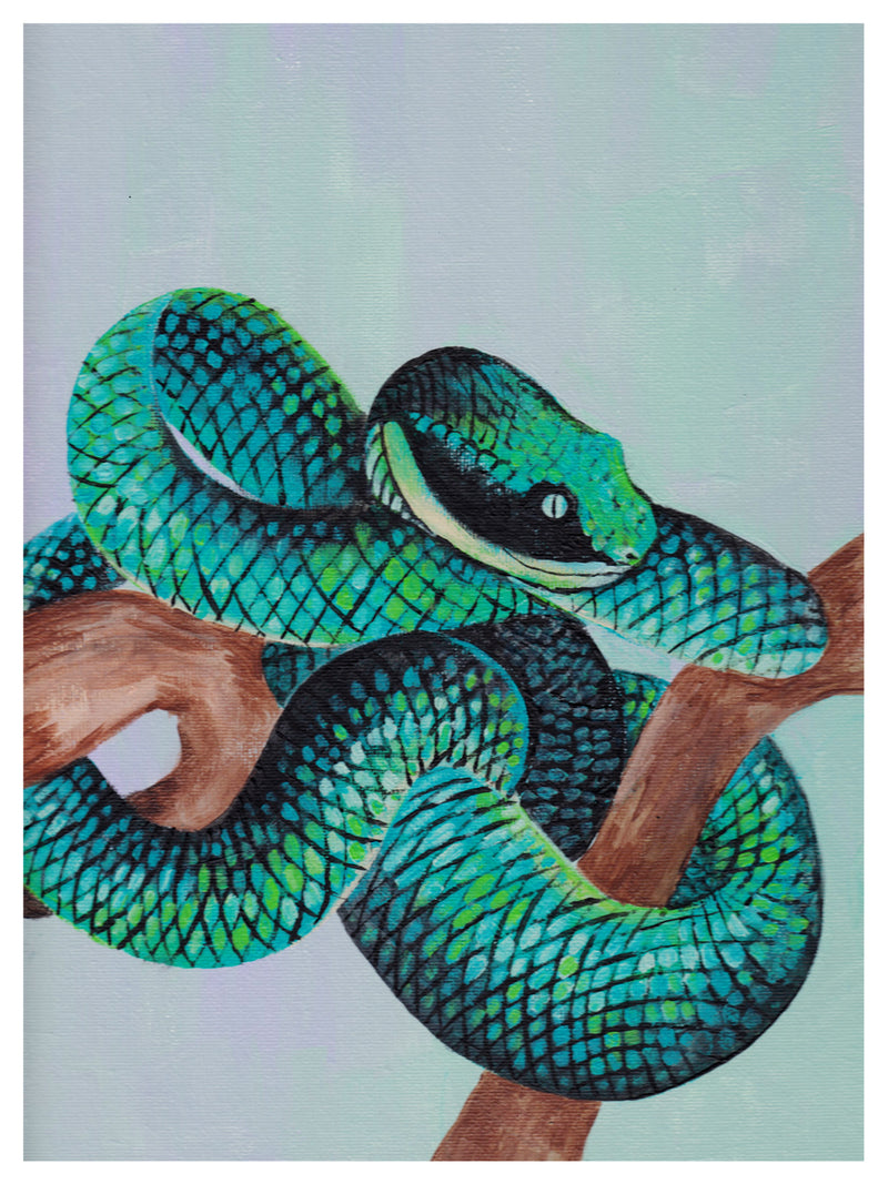 Snake Print – Bohemian Dreamer