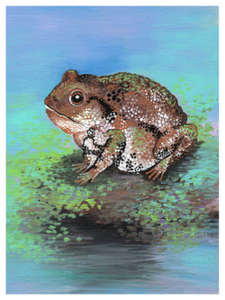 Toad Print