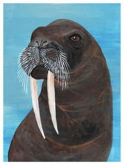 Walrus Print